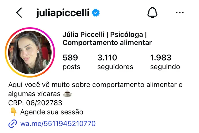 Topo do perfil de Júlia Piccelli no Instagram